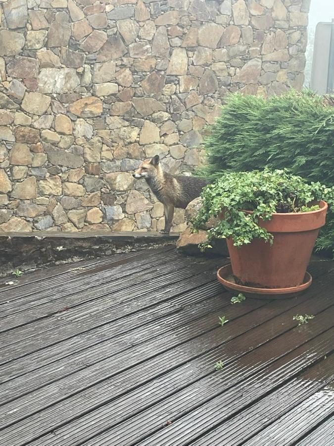 Вилла Patio Do Xisto Gondramaz Экстерьер фото